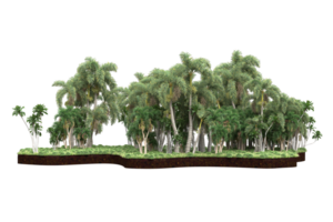 Realistic forest isolated on transparent background. 3d rendering - illustration png