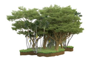 Realistic forest isolated on transparent background. 3d rendering - illustration png