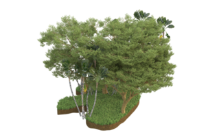 forêt réaliste isolée sur fond transparent. rendu 3d - illustration png