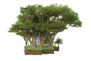 Realistic forest isolated on transparent background. 3d rendering - illustration png