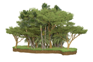 Realistic forest isolated on transparent background. 3d rendering - illustration png