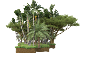 Realistic forest isolated on transparent background. 3d rendering - illustration png