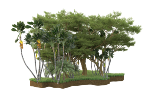 realistico foresta isolato su trasparente sfondo. 3d interpretazione - illustrazione png