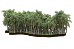realistisk skog isolerat på transparent bakgrund. 3d tolkning - illustration png