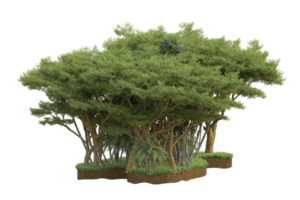 floresta realista isolada em fundo transparente. renderização 3D - ilustração png