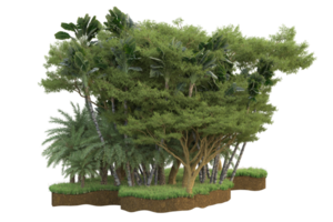 Realistic forest isolated on transparent background. 3d rendering - illustration png