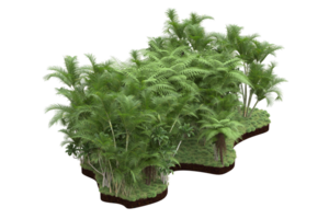 forêt réaliste isolée sur fond transparent. rendu 3d - illustration png