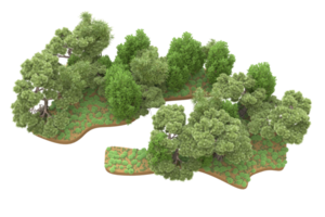 Realistic forest isolated on transparent background. 3d rendering - illustration png