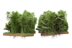 Realistic forest isolated on transparent background. 3d rendering - illustration png