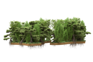 Realistic forest isolated on transparent background. 3d rendering - illustration png