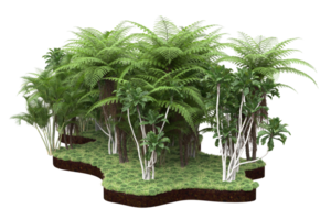 Realistic forest isolated on transparent background. 3d rendering - illustration png