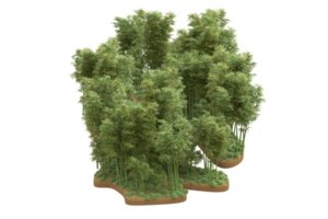 floresta realista isolada em fundo transparente. renderização 3D - ilustração png