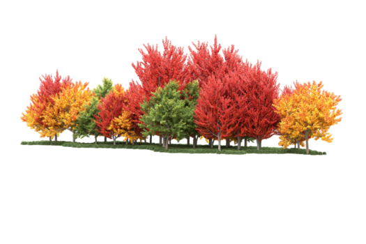 realistisk skog isolerat på transparent bakgrund. 3d tolkning - illustration png