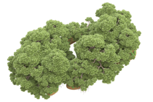 Realistic forest isolated on transparent background. 3d rendering - illustration png