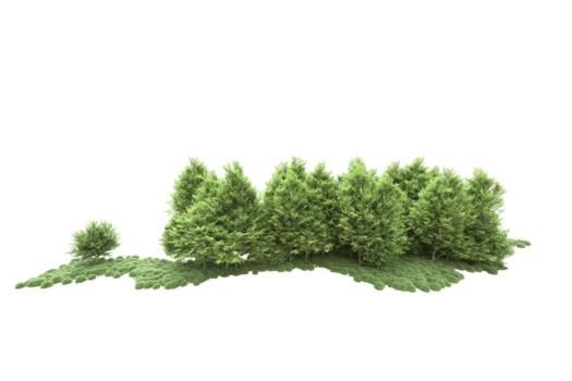 realistisk skog isolerat på transparent bakgrund. 3d tolkning - illustration png