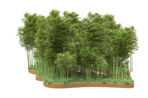 Realistic forest isolated on transparent background. 3d rendering - illustration png