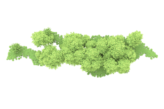 realistisk skog isolerat på transparent bakgrund. 3d tolkning - illustration png