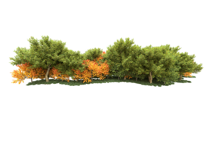 Realistic forest isolated on transparent background. 3d rendering - illustration png