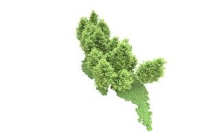 realistisk skog isolerat på transparent bakgrund. 3d tolkning - illustration png