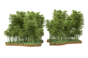 Realistic forest isolated on transparent background. 3d rendering - illustration png