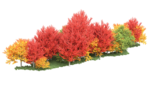 realistisk skog isolerat på transparent bakgrund. 3d tolkning - illustration png