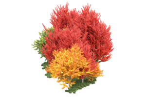 realistisk skog isolerat på transparent bakgrund. 3d tolkning - illustration png