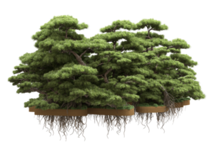 Realistic forest isolated on transparent background. 3d rendering - illustration png