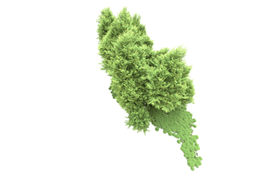 realistisk skog isolerat på transparent bakgrund. 3d tolkning - illustration png