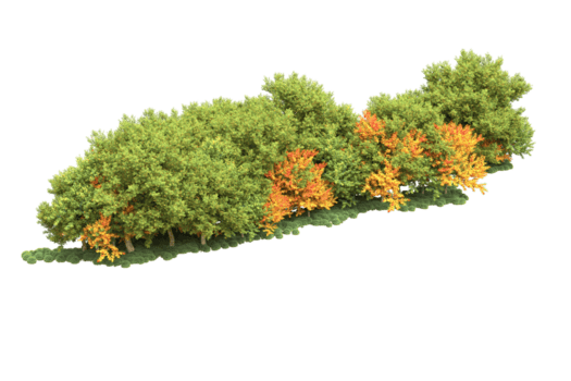 realistisk skog isolerat på transparent bakgrund. 3d tolkning - illustration png