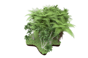 Realistic forest isolated on transparent background. 3d rendering - illustration png