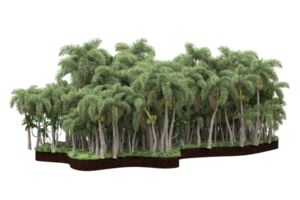 Realistic forest isolated on transparent background. 3d rendering - illustration png