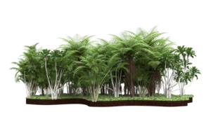 Realistic forest isolated on transparent background. 3d rendering - illustration png