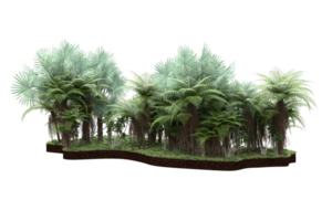 Realistic forest isolated on transparent background. 3d rendering - illustration png