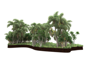 Realistic forest isolated on transparent background. 3d rendering - illustration png