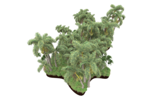 Realistic forest isolated on transparent background. 3d rendering - illustration png