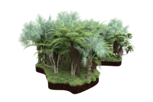 Realistic forest isolated on transparent background. 3d rendering - illustration png