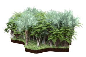 floresta realista isolada em fundo transparente. renderização 3D - ilustração png