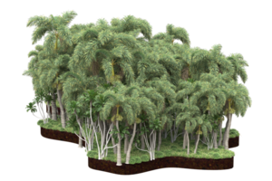 Realistic forest isolated on transparent background. 3d rendering - illustration png