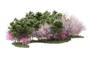 Realistic forest isolated on transparent background. 3d rendering - illustration png