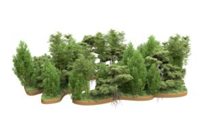 Realistic forest isolated on transparent background. 3d rendering - illustration png