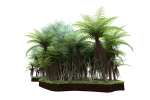 Realistic forest isolated on transparent background. 3d rendering - illustration png