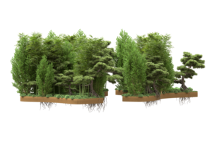 realistico foresta isolato su trasparente sfondo. 3d interpretazione - illustrazione png