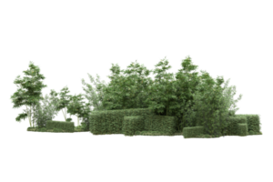 Realistic forest isolated on transparent background. 3d rendering - illustration png