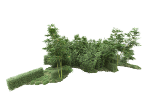 Realistic forest isolated on transparent background. 3d rendering - illustration png