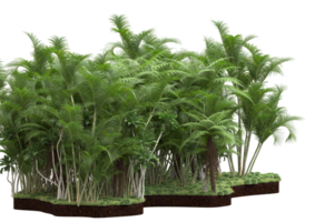 Realistic forest isolated on transparent background. 3d rendering - illustration png