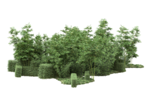 Realistic forest isolated on transparent background. 3d rendering - illustration png