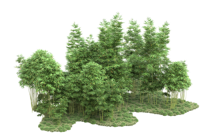 Realistic forest isolated on transparent background. 3d rendering - illustration png