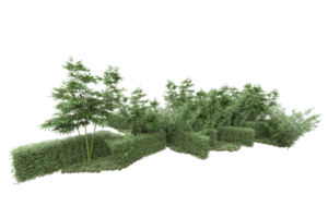 realistischer wald lokalisiert auf transparentem hintergrund. 3D-Rendering - Abbildung png
