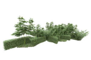 Realistic forest isolated on transparent background. 3d rendering - illustration png