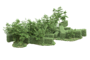 realistico foresta isolato su trasparente sfondo. 3d interpretazione - illustrazione png